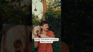 Amble-are-back-with-the-swell-amble-music-folkmusic-shorts-irishmusic