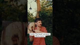 Amble-are-back-with-the-swell-amble-music-folkmusic-shorts-irishmusic