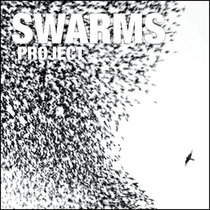 SWARMS-Project-Radiopulpo-