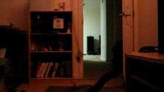 Pajamas-and-Nick-Drake